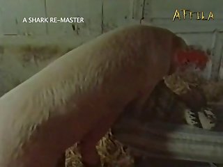 Girl First Time Dog Fuck