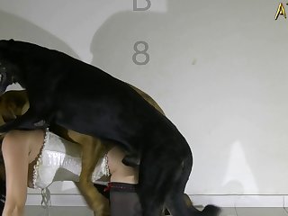 Dog Trained To Fuck Woman