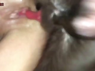 Dog Screaming Fuck