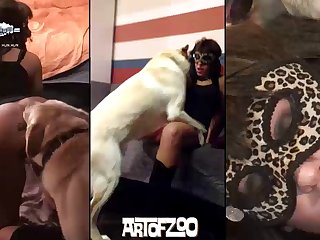 Dog Fuck Woman Gifs