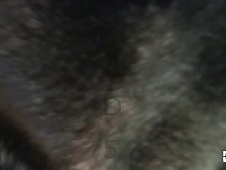 Dog Homemade Fuck