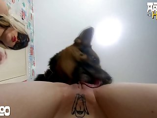 Dog Fuck Male Porn