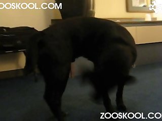 Cute Teen Fuck With Dog