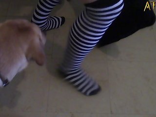 Shemale Fuck Dog Pussy