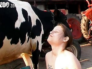 Dog Fuck Tumblr Video