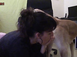 Female Dog Fuck In Heat