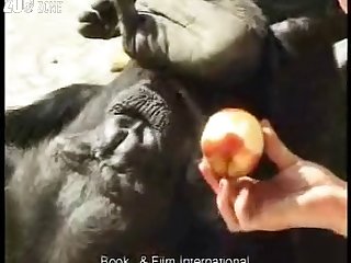 3d Dog Fuck Videos