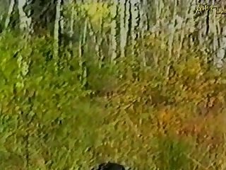 Xtr3mo Dog Fuck