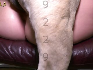 Big Dog Knot Fuck Girl Ass Stuck