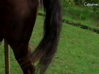 Brooke Dance And Pleasure Dog Fuck