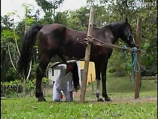 Dog Fuck Shaved Pussy