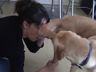 Dog Fuck Anal Knot