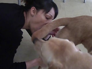 Dog Fuck Anal Knot