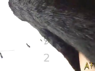 Most Recent Man And Female Dog Fuck