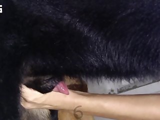 Lady Sonya Dog Fuck