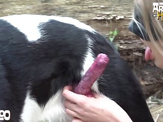 Godiva Dog Fuck