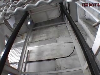 Couple Fuck With Their Dog