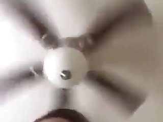 Why I Fuck My Dog