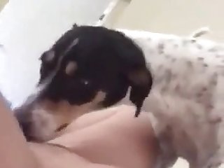 Why I Fuck My Dog