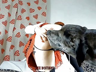 Dog Fuck Mommy