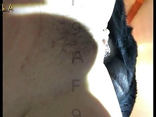 Wife Fuck With Dog