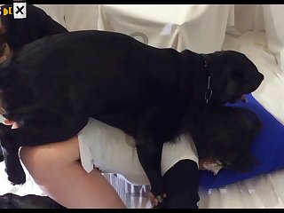 I Want To Fuck A Dog In The Ass Lyrics