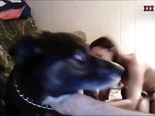 Girl Caught Fuck Dog