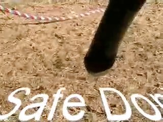 Home Alone Girl Fuck Dog