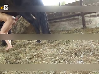 Dog Fuck Girl Xray
