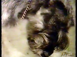 My First Dog Fuck