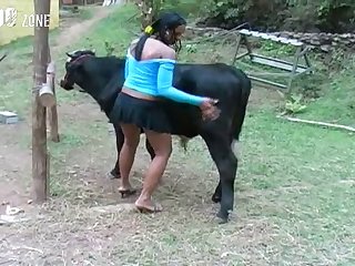 Pony Fuck Dog