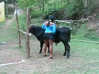 Pony Fuck Dog