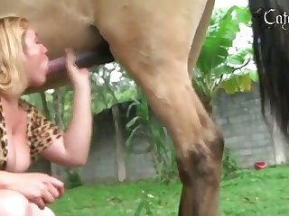 Fuck This Dog