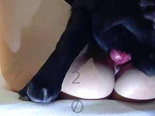 Teens First Dog Fuck