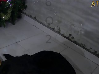 Dog Big Dick Fuck Teen