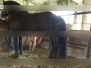 Big Dog Fuck Cute Girl