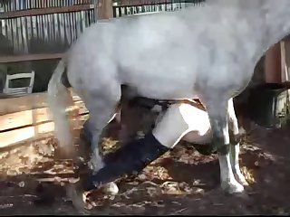 Dog Fuck In Mouth