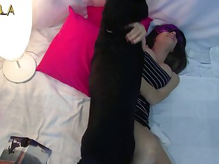 A Dog Fuck My Wife