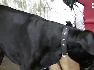 Bi Couple Fuck Dog
