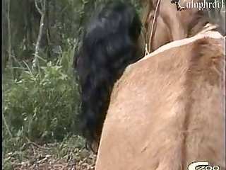 Porn Fuck Female Dog