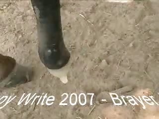 Big Dick Dog Fuck Owner
