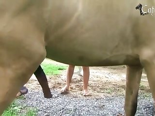 Dog Fuck Women Creampie