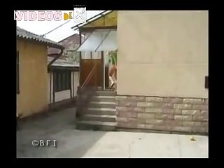 Guy Fuck Dog Pussy Hard