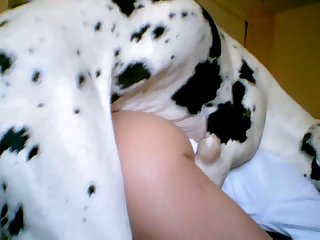 Dog Was Whimpering And Whining Now As He Savored