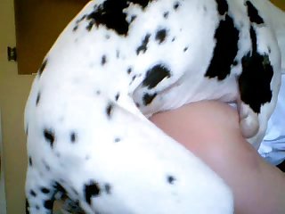 best whimpering porn videos page 1 at bestiality.zone