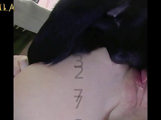 Guy Fuck Female Dog In Heat