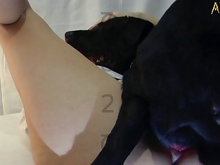 What The Fuck Is Cancel Culture Dog
