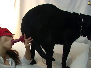 What The Fuck Is Cancel Culture Dog