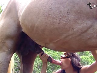 Teen Fuck Dog After School