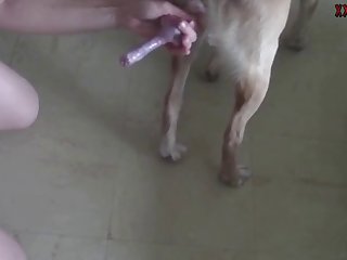 Dog Face Fuck Xxx